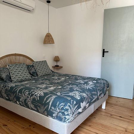 Agreable Petite Maison Au Coeur Du Minervois Villarzel-Cabardes Ngoại thất bức ảnh